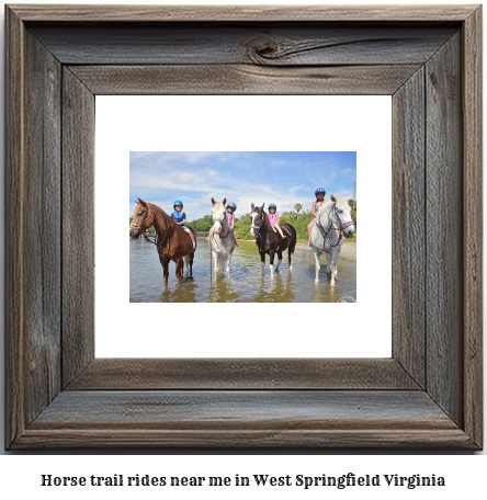 horse trail rides near me in West Springfield, Virginia